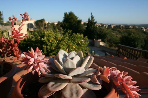 Villa Mara B&B