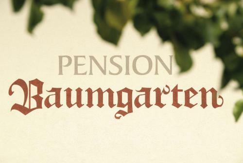 Hostal Pension Baumgarten