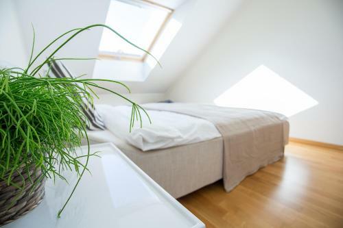 Vilnius Apartments & Suites ? Old Town