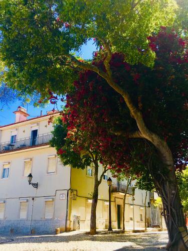 Apartamento Casa Da Avenida