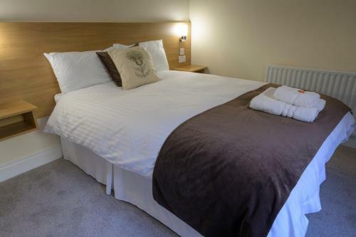 Bed & Breakfast Bracarina House