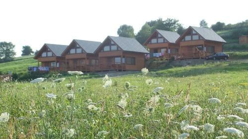 Lodge Ca?oroczne Domki Buena Vista