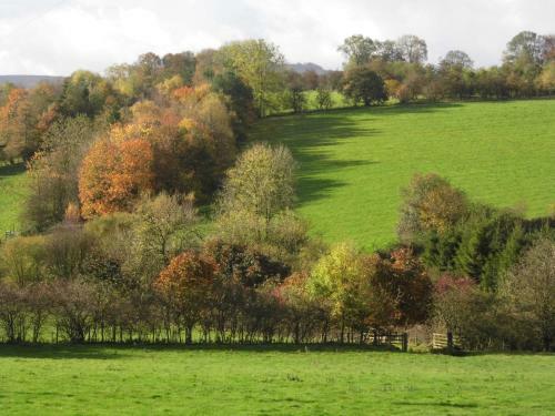 Bed & Breakfast Clerk Laithe Lodge