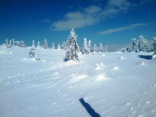 Hostal Chalupa U Novotn�ch