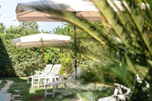 Hotel L'isola Che Non C'� - Apartments