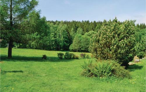Holiday Home Dolni Maxov C.