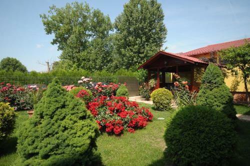 Hotel & Restaurant Valul Magic