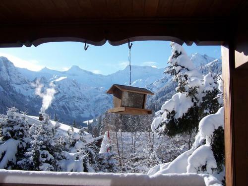 Apartamentos Chalet Berggeist Adelboden Wohnung 1