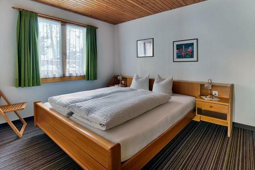 Apartamentos Patschei Trid