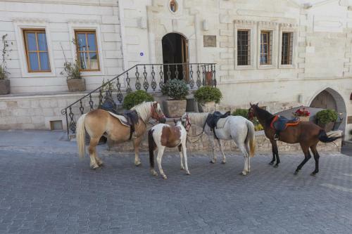 Hotel Exedra Cappadocia