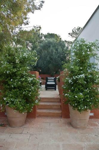 Hotel Masseria Montelauro