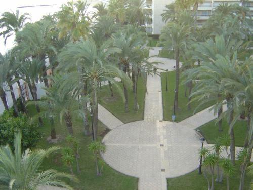 Apartamento Palmeral De Torrevieja
