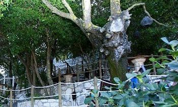 Residencia Faros Suites