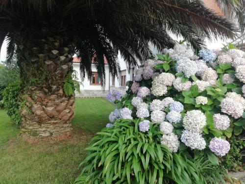 Apartamentos �scar Valle