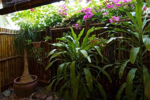 Hotel Seahorse Resort & Spa