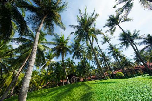 Hotel Seahorse Resort & Spa
