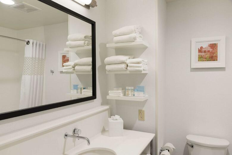 Hotel Hampton Inn Mt Pleasant Mi