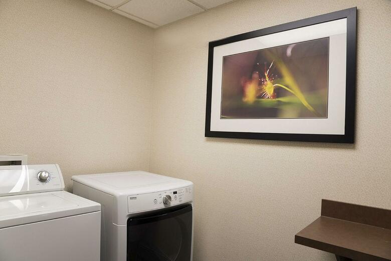 Hotel Hampton Inn Mt Pleasant Mi