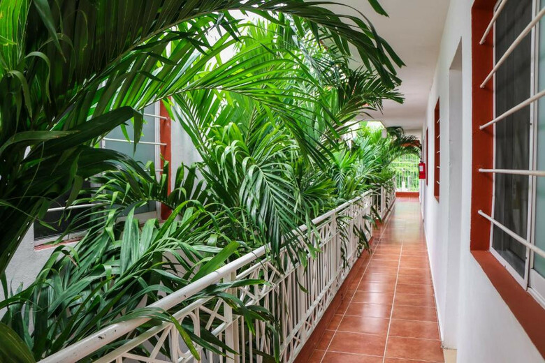 Hotel Gayser Apartamentos
