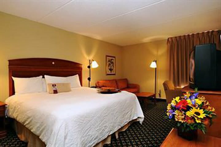 Hotel Hampton Inn Auburn