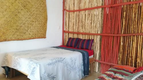 Bacalar Camping "el Arbol de La Vida"