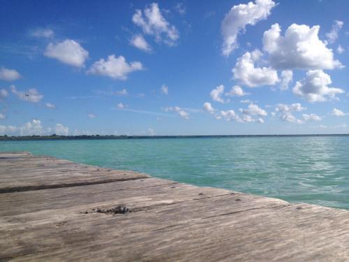 Bacalar Camping "el Arbol de La Vida"