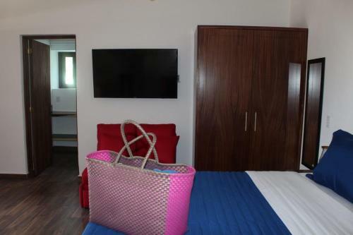 Suite Julio Apartments Apts