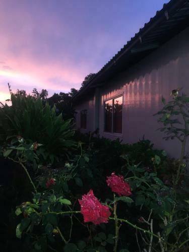 Hostel & Campamento Cafeaventura