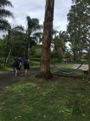 Hostel & Campamento Cafeaventura