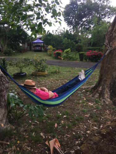 Hostel & Campamento Cafeaventura