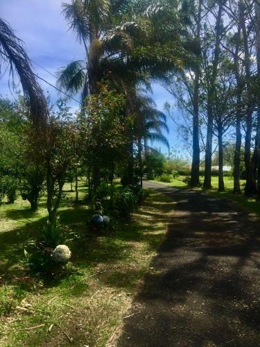 Hostel & Campamento Cafeaventura