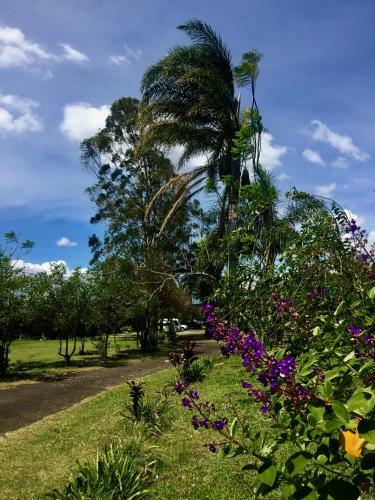 Hostel & Campamento Cafeaventura