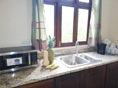 Apartamento La Caba�a Lodge