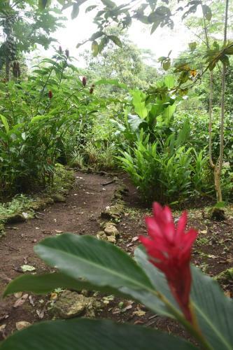 Lodge Jardin Del Pozo