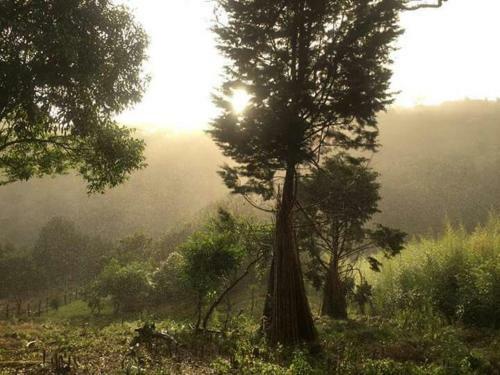 Caba�a Mountain View