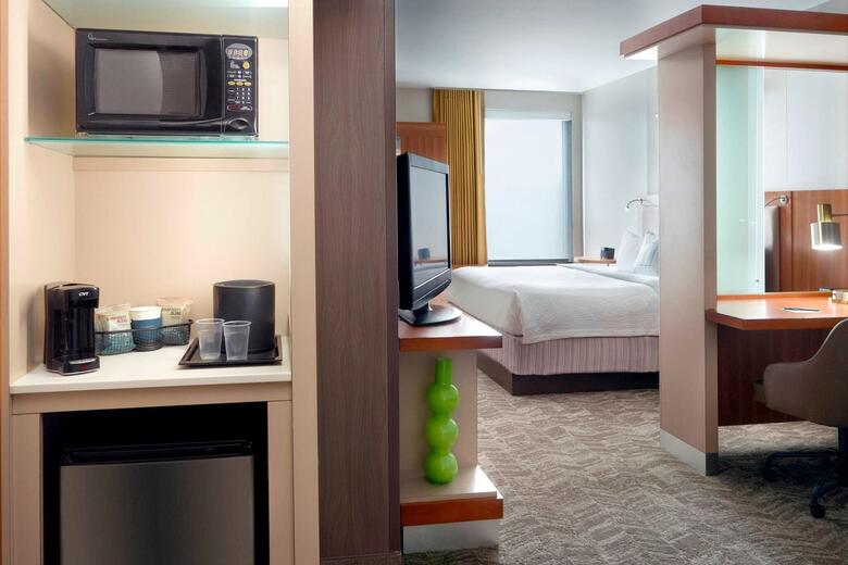 Hotel Springhill Suites Atlanta Airport Gateway