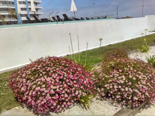 Apartamento Club Oc�ano De Pe�uelas.