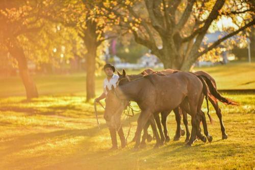 Agroturismo Estancia La Violeta