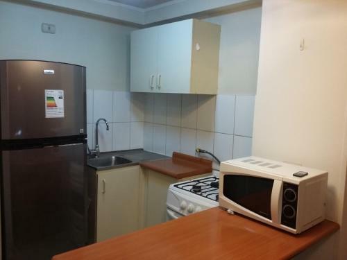 Apartamento Departamento Vicu�a Mackenan �uble