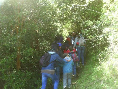 Agroturismo Caba�a Hecha En Minga Chilota