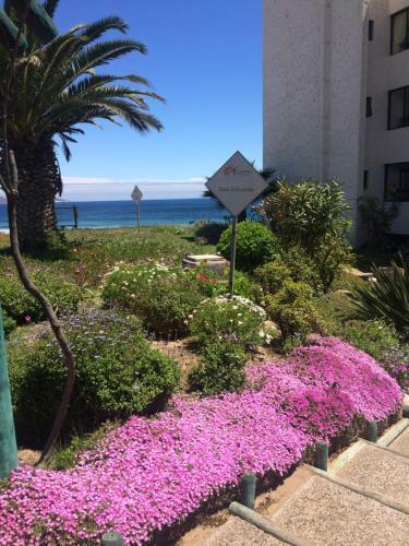 Apartamento Dunas De Morrillos