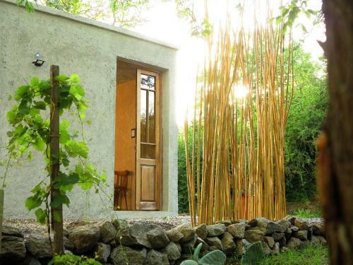 Apartamento Paloma Suite