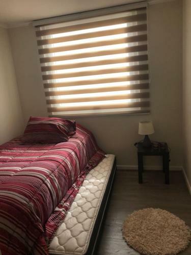 Apartamento Comodidad Para Ti