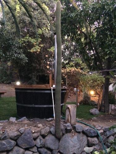Agroturismo Rancho Trebol