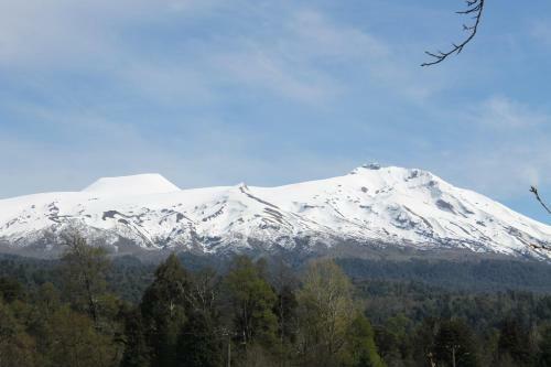 Apartamento Caba�as Kallinko