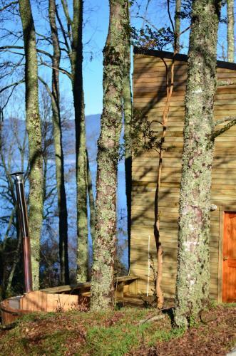 Lodge Nativo Camping & Cabanas