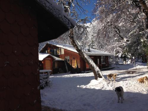 Albergue Hostal Y Caba�as Los �irres