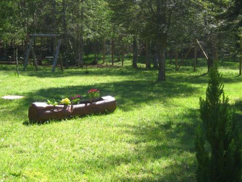 Agroturismo Caba�as Familia Caburgua
