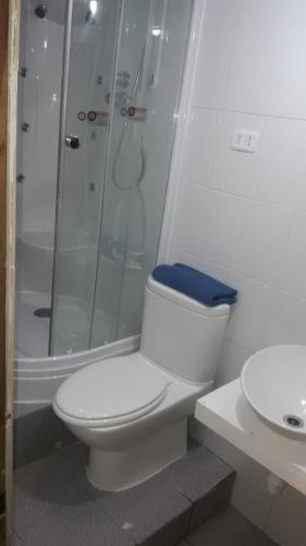 Apartamento Caba�a Lago Llanquihue A Pocas Cuadras Del Centro