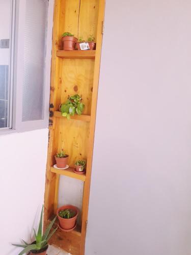 Apartamento Departamento Luna Andina